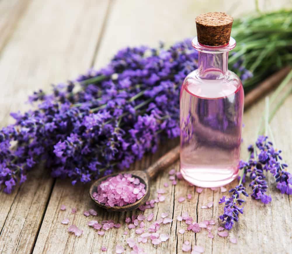 lavender essential oil