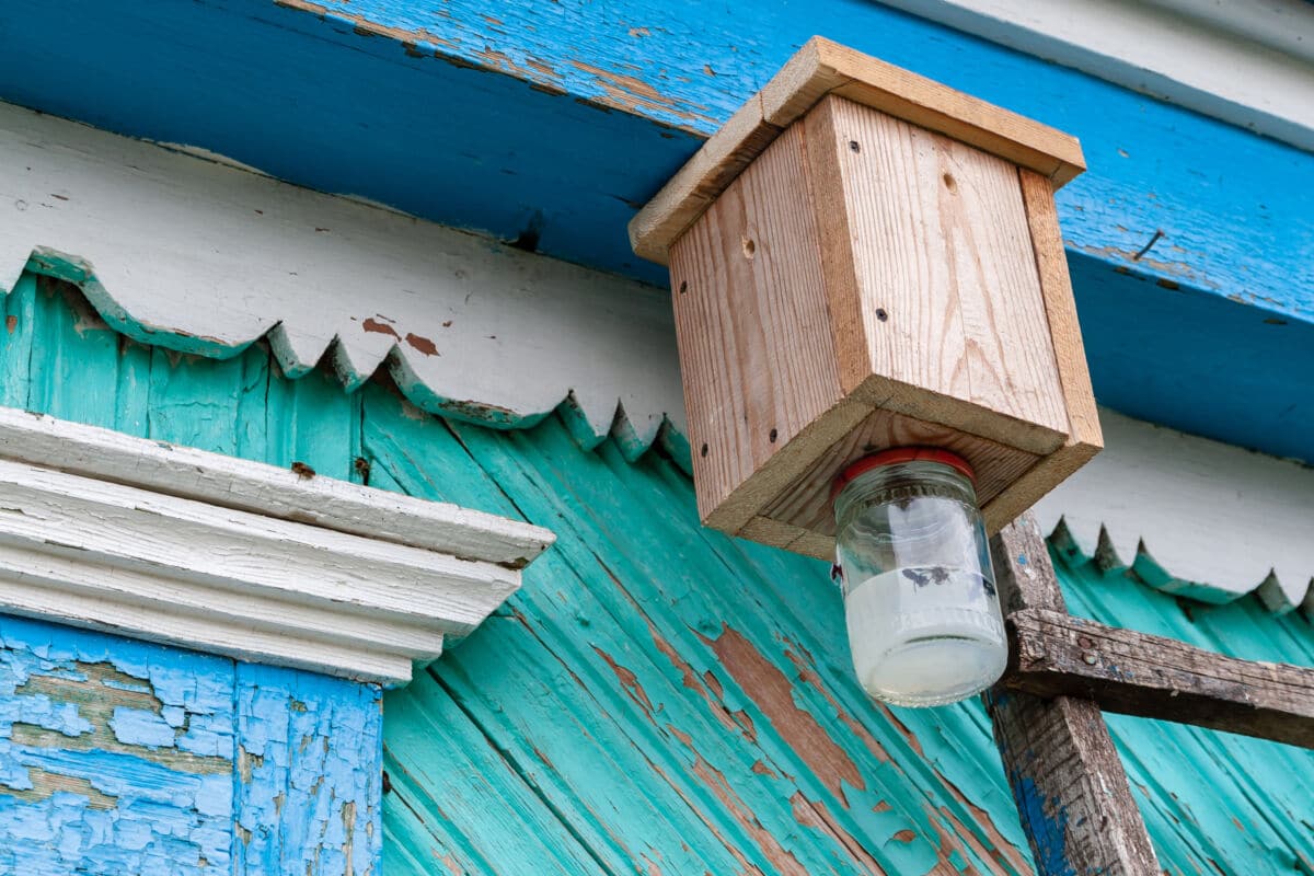Wooden carpenter bee Trap on the side of a house