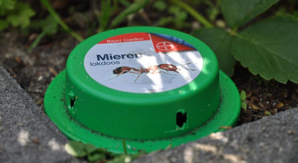 A green ant bait station laid outside