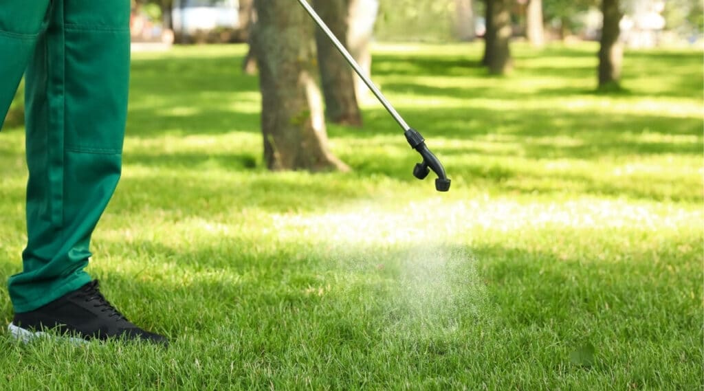 Man treating yard with spray