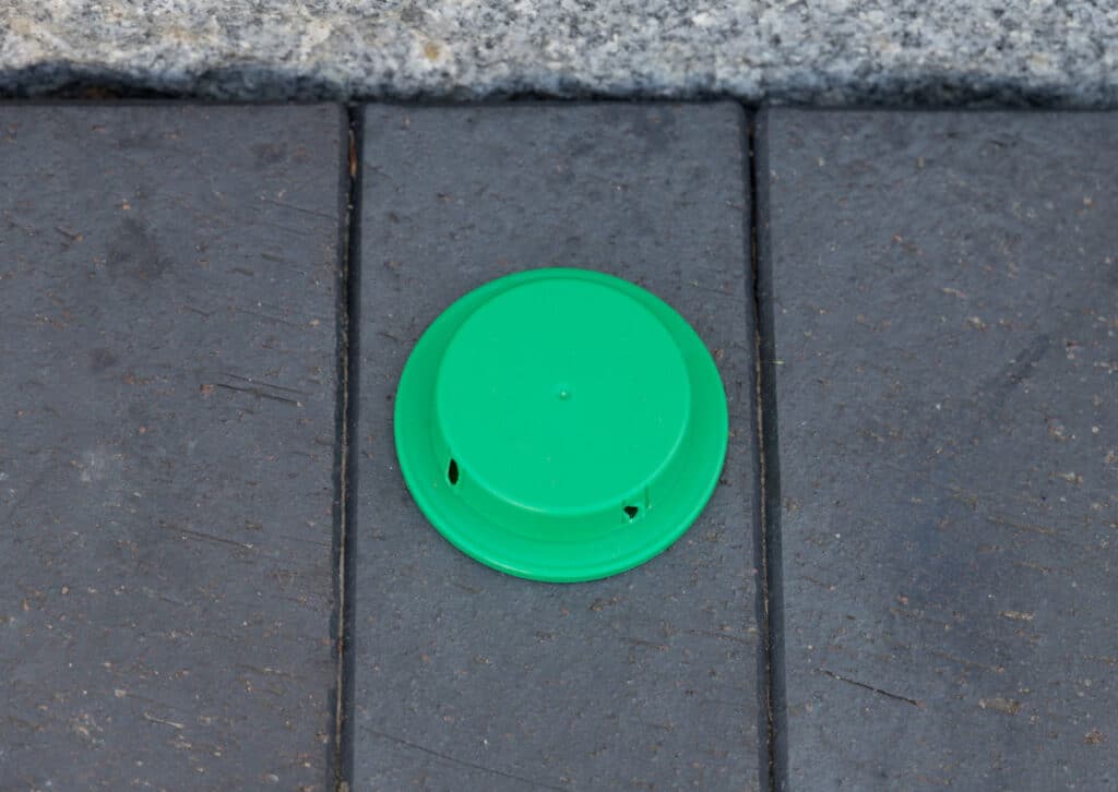 Green ant trap on outdoor path