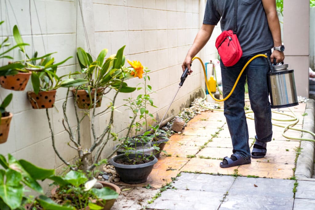 Man spraying insecticide into corners of outside walls