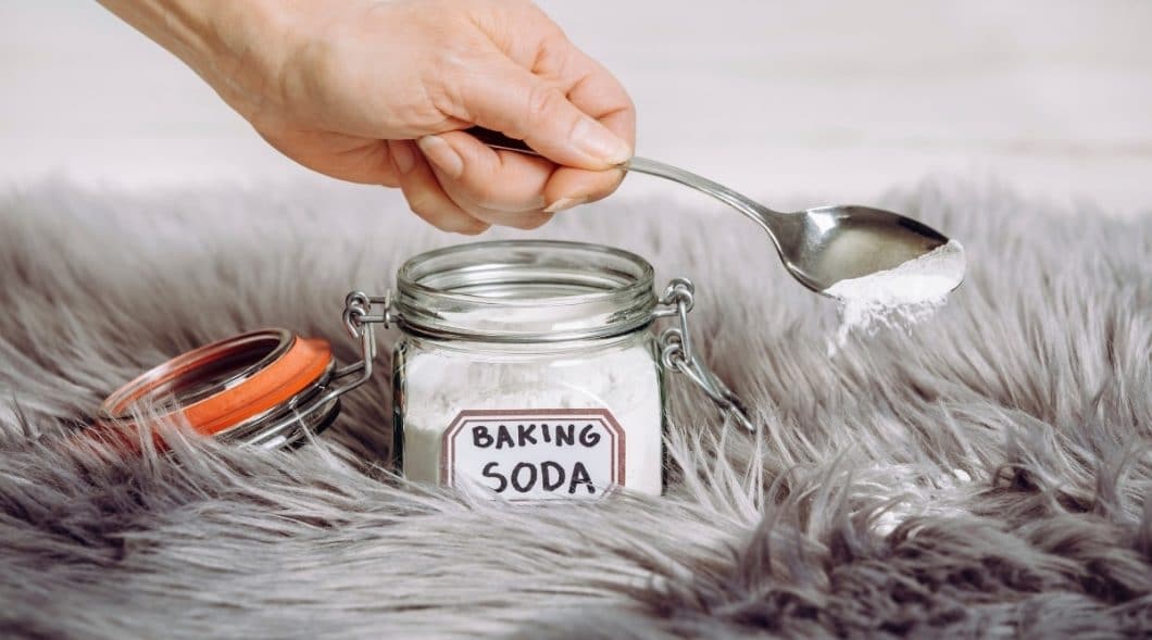 Does Baking Soda Kill Fleas or Flea Eggs Naturally?